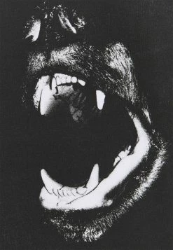 YOURTURN Prix Raisonnable UNISEX - T-shirt imprimé t shirt Col rond all -YOURTURN Soldes 2022 58bb31f561364d32afd21d152180aa2a